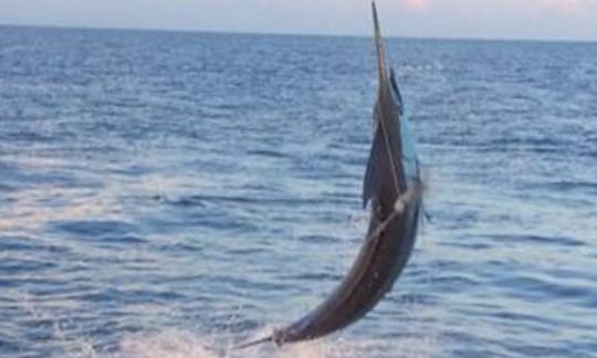 Profitez de la pêche à Golfito, au Costa Rica, sur Sport Fisherman
