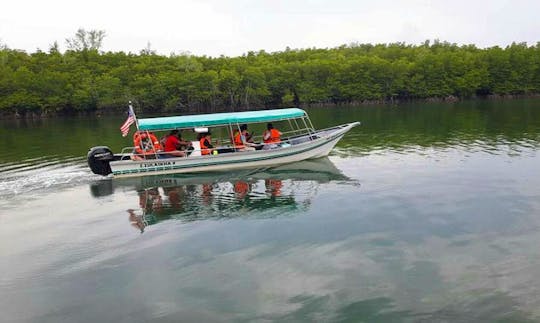 Charter a River Boat in Kuala Terengganu, Malaysia