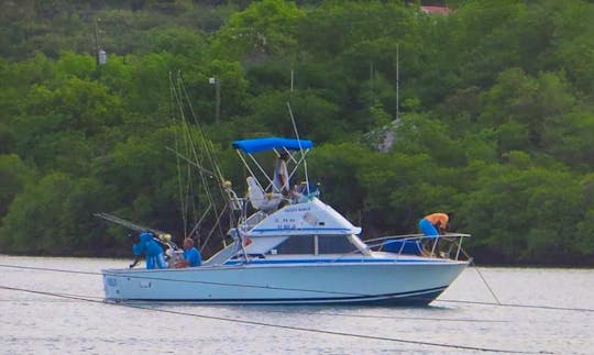 Enjoy Fishing in Saint Mary, Antigua and Barbuda on Sport Fisherman
