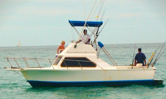 Enjoy Fishing in San José del Cabo, Mexico on 33' Lurs cuddy cabin