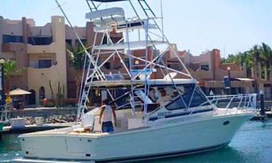 Profitez de la pêche à San José del Cabo, au Mexique, à bord d'un Black Fin Sport Fisherman de 38 pieds