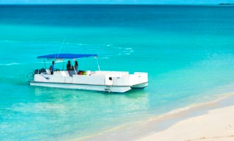 Charter 38ft 'Cool Cat' Luxury Pontoon In Caicos Islands, Turks and Caicos Islands