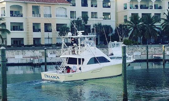 Enjoy Fishing in Punta Cana, Dominican Republic on 43' Cabo Sport Fisherman