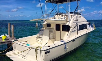 Cancún Fishing Charter on Bertram 33 Sportfishing Yacht