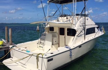 Cancún Fishing Charter on Bertram 33 Sportfishing Yacht