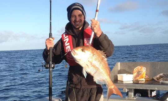 Enjoy Fishing in New Plymouth, New Zealand on Cuddy Cabin