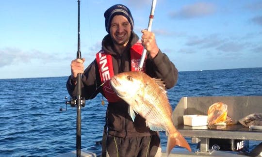 Enjoy Fishing in New Plymouth, New Zealand on Cuddy Cabin