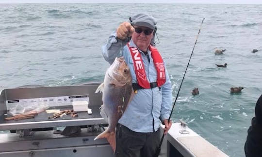 Enjoy Fishing in New Plymouth, New Zealand on Cuddy Cabin