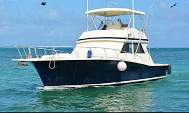 Fishing Charter 41ft Beluga Fishing Boat in Cancún, Quintana Roo