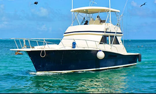 Fishing Charter 41ft Beluga Fishing Boat in Cancún, Quintana Roo