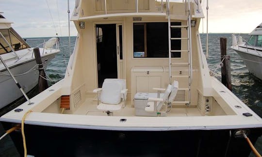 Fishing Charter 41ft Beluga Fishing Boat in Cancún, Quintana Roo