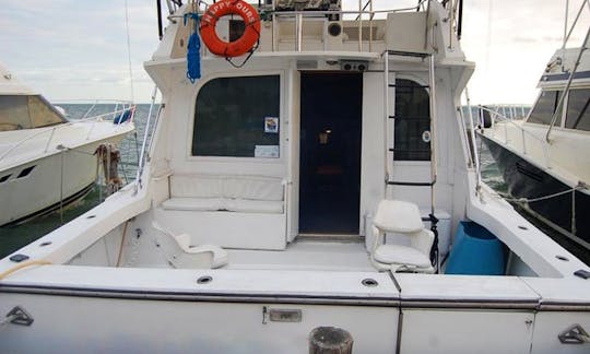 Fishing Charter 41ft Beluga Fishing Boat in Cancún, Quintana Roo