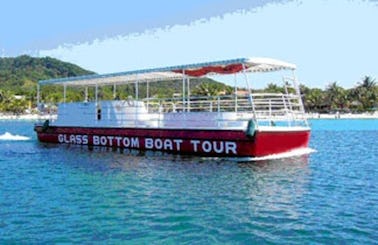 Glass-bottom boat tour in Coxen Hole, Honduras