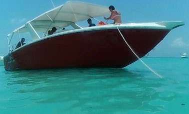 Nade con tiburones ballena en Cancún, Isla Mujeres y toda la Riviera Maya