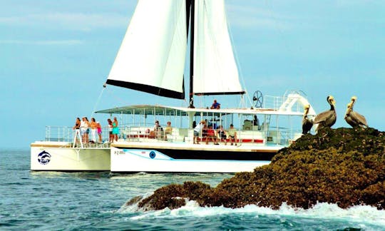 FOR SALE! Luxury ''Tom Cat II'' Cruising Catamaran in Costa Rica