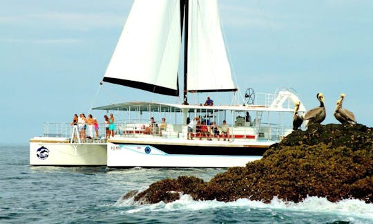 Luxury ''Tom Cat II'' Cruising Catamaran in Flamingo, Costa Rica