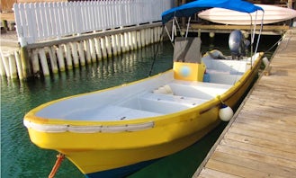 28' Skiff Dive Boat In Utila