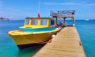 40' Dive Boat Charter In Utila, Honduras