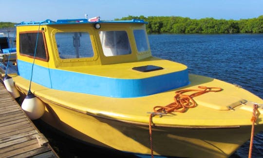 40' Dive Boat Charter In Utila, Honduras