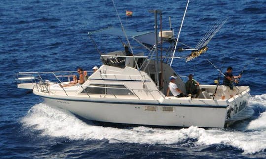 Enjoy Fishing in Costa Adeje, Spain on Sport Fisherman