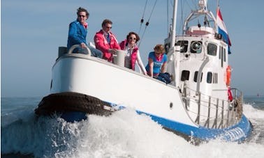 Charter 67ft "Suzanna" Trawler In Zwolle, Netherlands