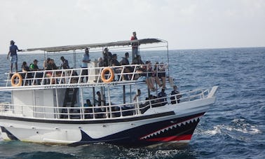 Guerreiros da baleia de Mirissa, Sri Lanka