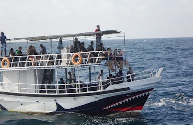 Mirissa Whale Warriors, Sri Lanka