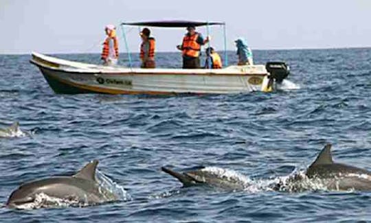 Alugue um bote em Kalpitiya, Sri Lanka