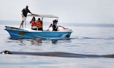 Enjoy a boat rental in Kalpitiya, Sri Lanka