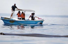 Enjoy a boat rental in Kalpitiya, Sri Lanka
