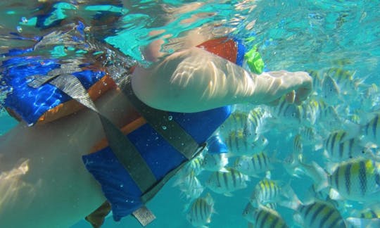 Viagem de mergulho e pesca em San Pedro, Belize