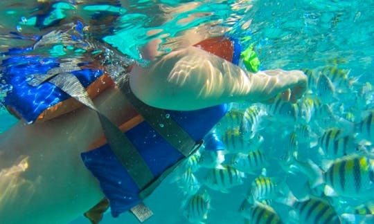 Snorkeling and Fishing Trip In San Pedro, Belize