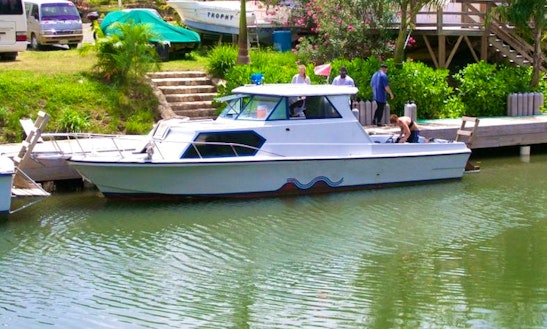31' Dive Boat Charter