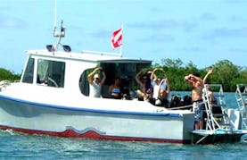 Dive Boat Charter in Islas de la Bahía, Honduras