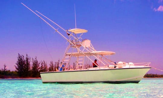 Fishing Charter On 31ft "Grand Slam" Island Hopper Yacht  In  Cozumel, Mexico