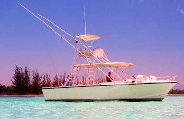 Fishing Charter On 31ft ''Grand Slam'' Island Hopper Sports Fisherman Yacht in Cozumel, Mexico