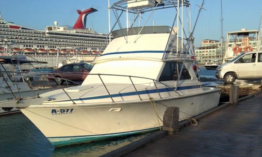 Explore the beautiful waters of Aruba on Sport Fisherman Charter