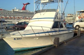 Explore the beautiful waters of Aruba on Sport Fisherman Charter