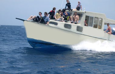Diving Boat Charters in, Honduras