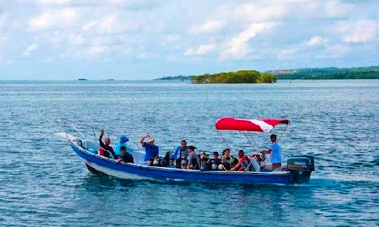Diving Trips and Certified Scuba Diving Courses in San Andres Island
