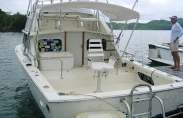 Book a Sport Fishing Charter on 28' Bertram Yacht in Golfito, Costa Rica