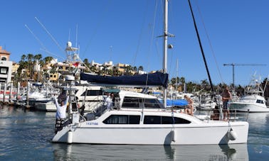 Enjoy an Excursion in Cabo San Lucas, Mexico on this Sailing Catamaran