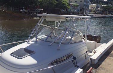 Private Speedboat Soufriere Tour