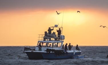 Alquile un catamarán a motor «Blue Pointer» de 36 pies en Sudáfrica, Ciudad del Cabo