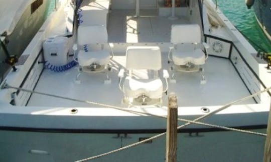 Fishing Charter On 38ft