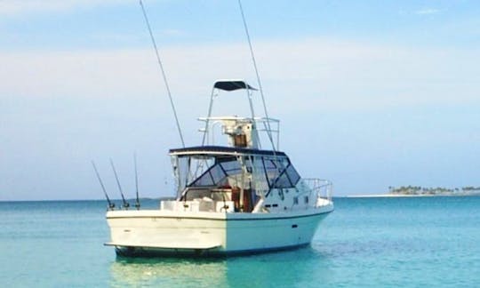 Fishing Charter On 38ft