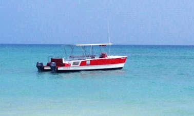 Small Catamaran Boat In Punta Cana, Dominican Republic