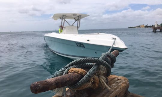 Fishing Tour in Oranjestad, Aruba on Center Console