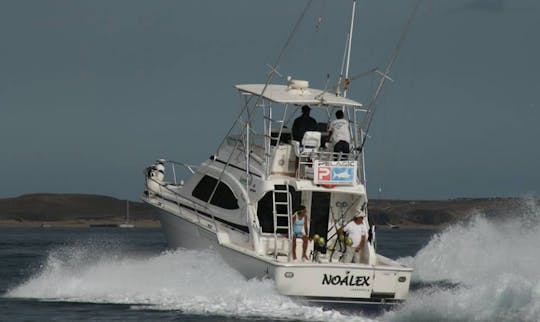 Viagem de pesca em Playa Blanca, Espanha no Sport Fisherman