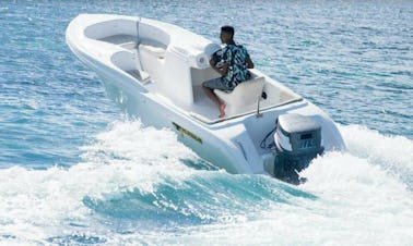 Charter a 10 Person Center Console in Quatre Cocos, Mauritius